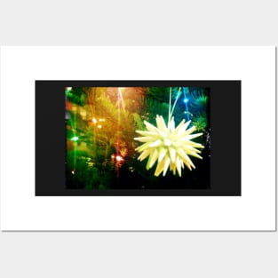 Spiky Paper Star Christmas Ornament Posters and Art